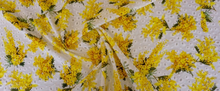 Eyelet embroidery - mimosas