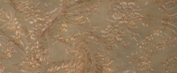 remnants lace - gold with white