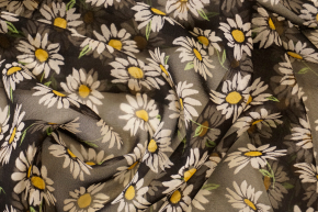 Chiffon - daisies