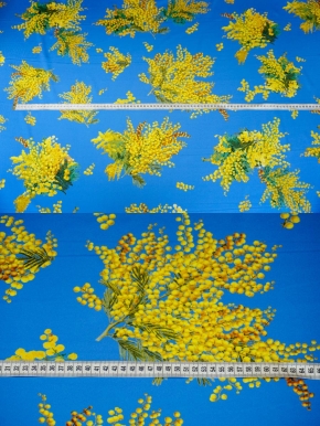 Seidenstretch - Mimosen
