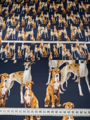 Seidenstretch - Greyhounds
