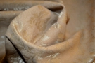 Jacquard - camel