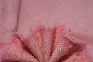Schurwolle- rosa Fischgrat