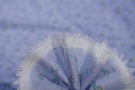 dünne Baumwolle - hellblau mit grünen Blumen