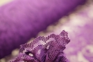 Lace - purple