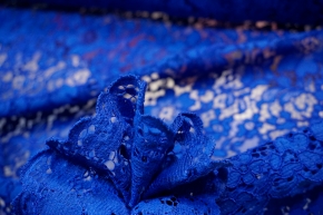 Webspitze - florales Muster, königsblau