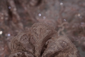 embroidered lace - taupe