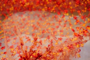 embroidered tulle - shades of red